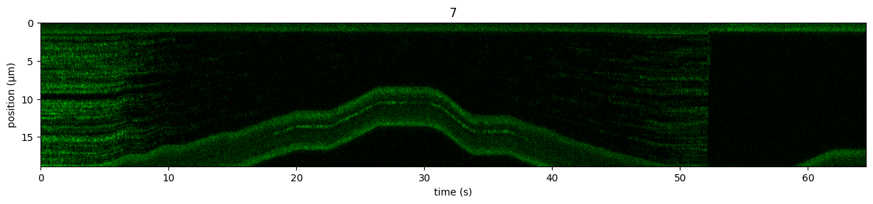 ../../_images/force_kymograph1.png
