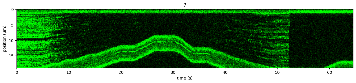 ../../_images/force_kymograph2.png