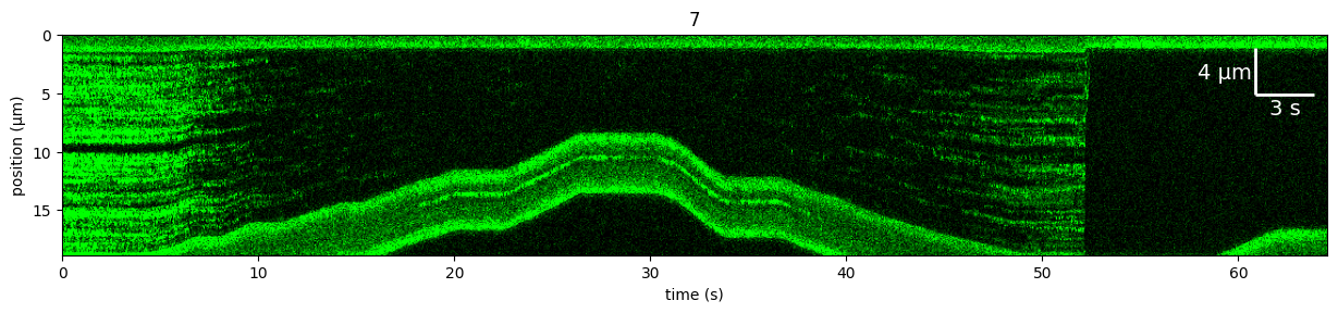 ../../_images/force_kymograph2b.png