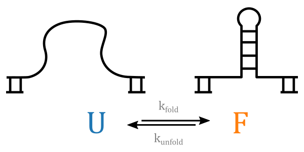 ../_images/hairpin_kinetics.png