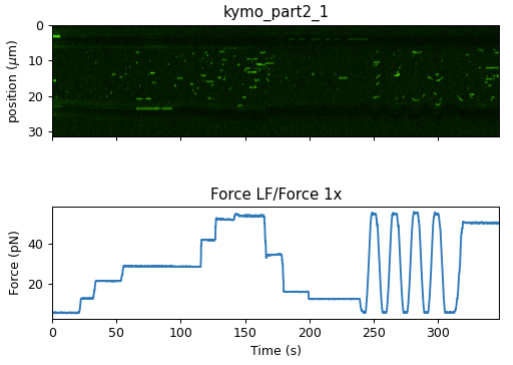 ../_images/kymo_correlated.png