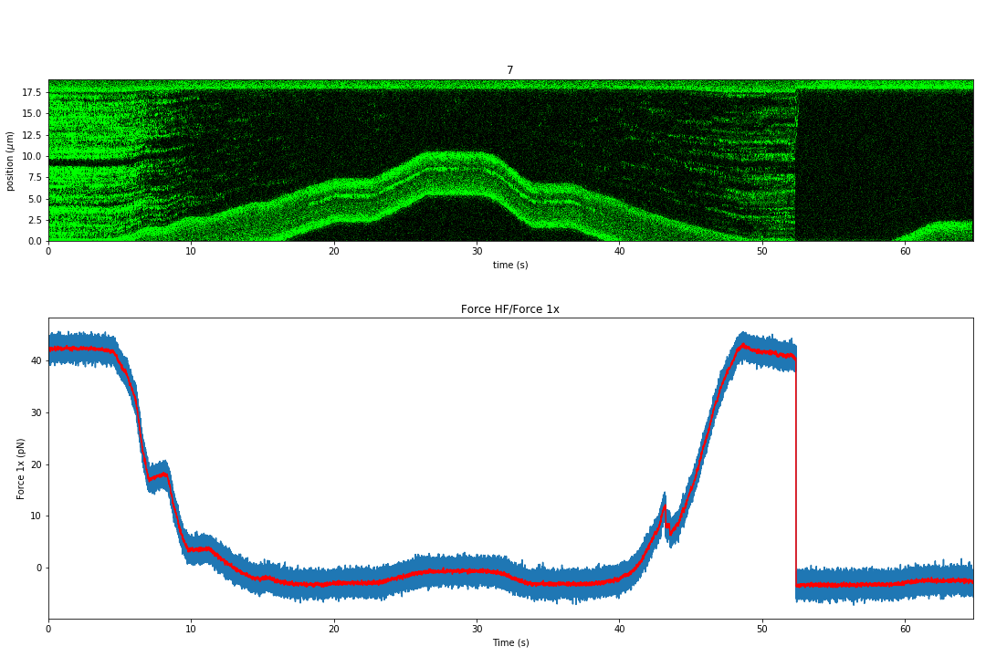 ../../_images/force_kymograph4.png