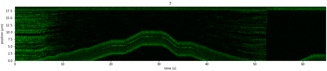 ../../_images/force_kymograph1.png