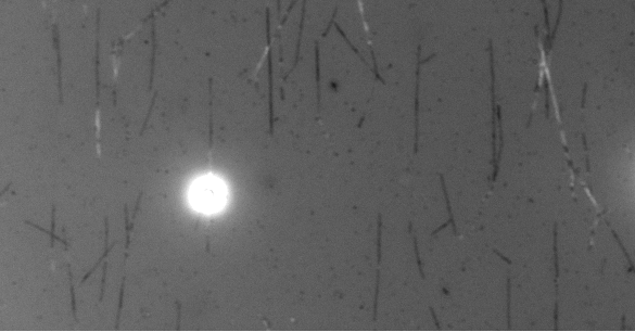 ../../_images/kinesin_open_loop_on_MT.png