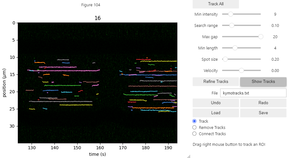 ../_images/kymotracker4.png