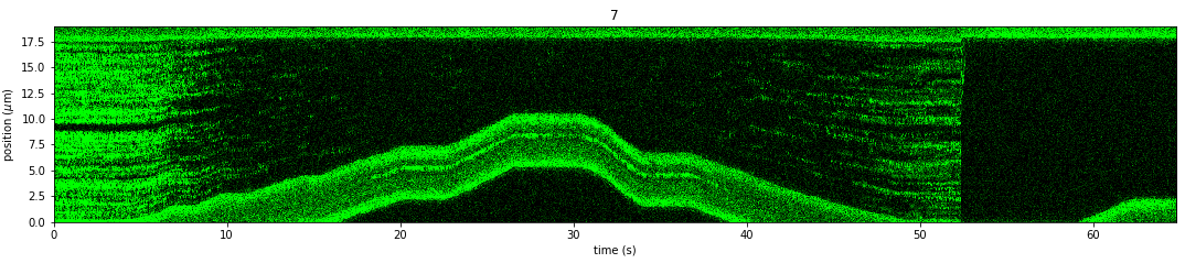 ../../_images/force_kymograph2.png