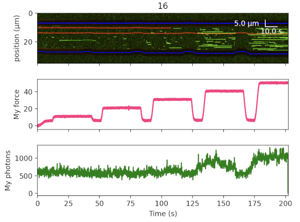 ../_images/kymo_plot_with_channels_customized.png