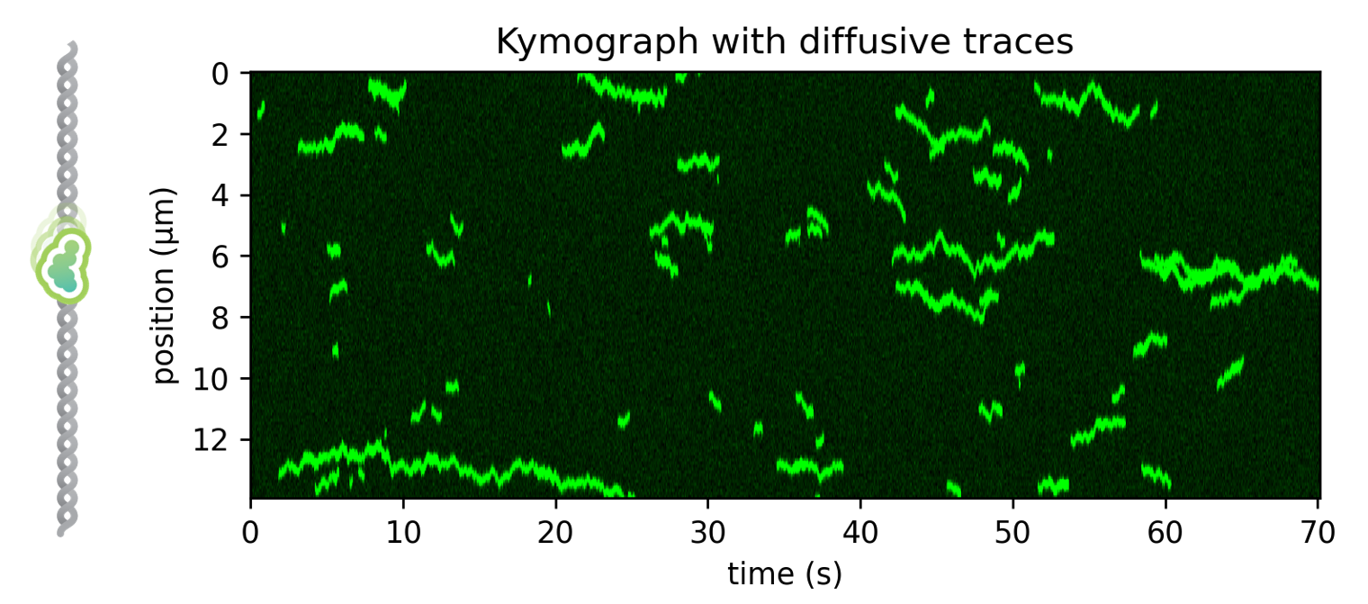 ../../_images/1D_diffusion.png