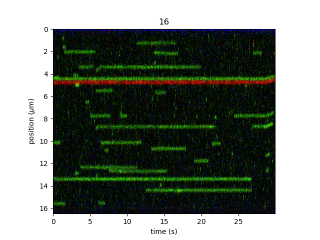 ../_images/kymo_cropped_and_sliced.png