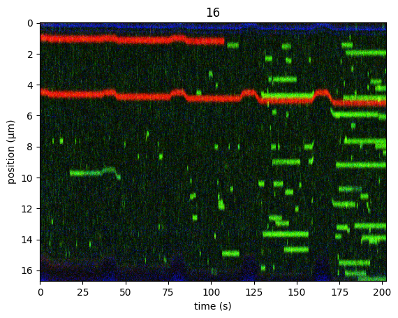 ../_images/kymo_cropped_bead_edges.png