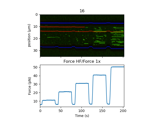 ../_images/kymo_force_correlated.png