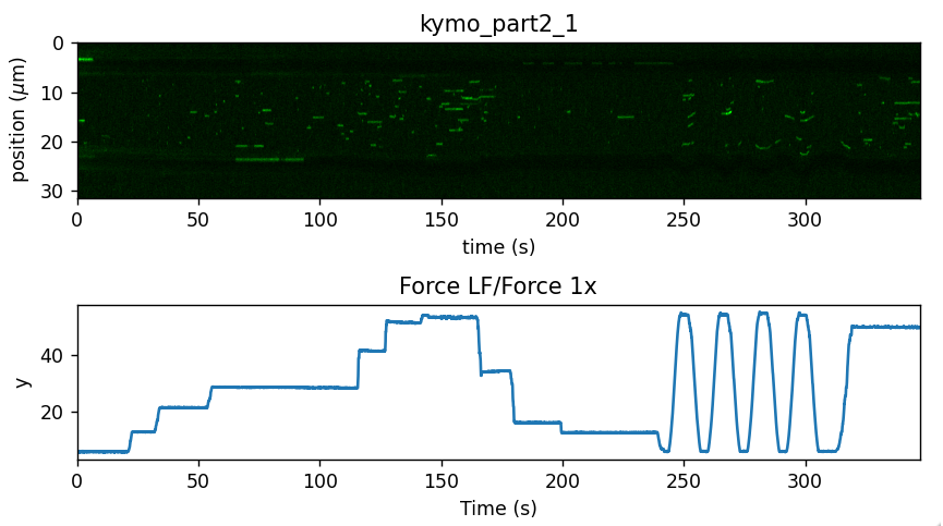 ../../_images/kymo_force.png