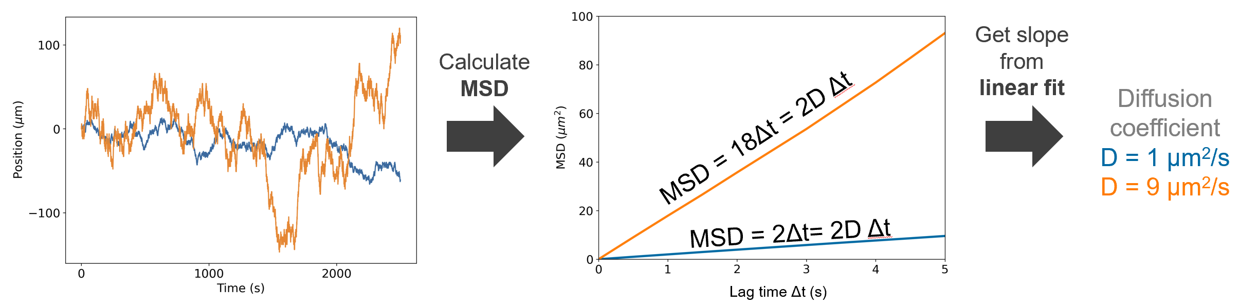 ../../_images/MSD_analysis.png